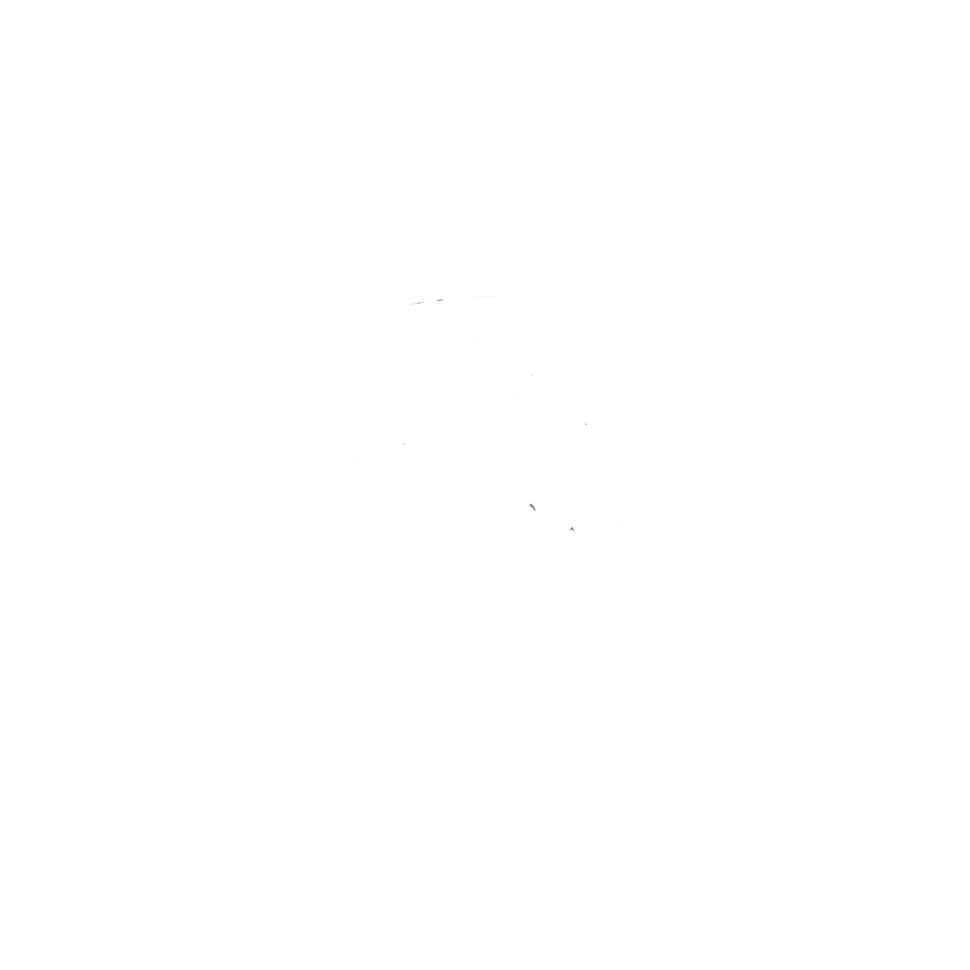 Tiger Pit Crossfit